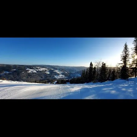 شقة Perfect Christmas Atmosphere! Beautiful At Skagahogdi With Panoramic View غول