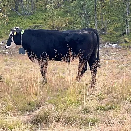 Perfect Christmas Atmosphere! Beautiful At Skagahogdi With Panoramic View شقة *