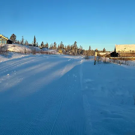 Apartment ! Perfect Snow Condition! Beautiful At Skagahogdi With Panoramic View Gol