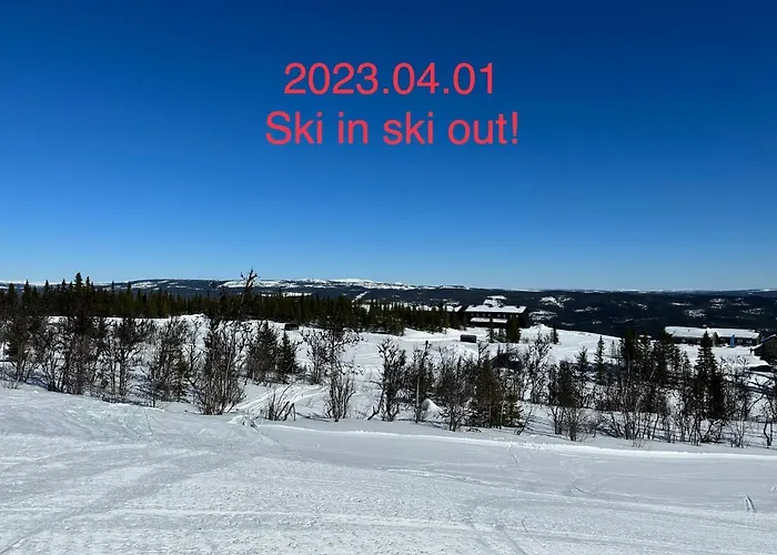 公寓 ! Spring Time! Beautiful Apartment At Skagahogdi With Panoramic View 高尔