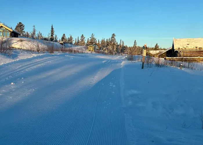 Apartment ! Perfect Snow Condition! Beautiful At Skagahogdi With Panoramic View Gol