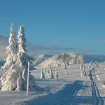 Lägenhet ! Spring Time! Beautiful At Skagahogdi With Panoramic View