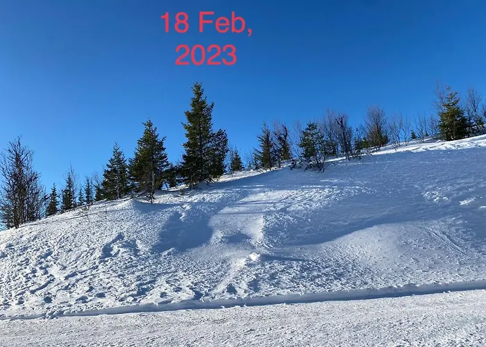 Lägenhet ! Spring Time! Beautiful At Skagahogdi With Panoramic View
